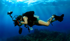 There are 2 variants of the rod assembly. Best Underwater Metal Detector Reviews Top 3 Waterproof Products