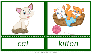 Animals And Their Babies Esl Flashcards Baby Animal Names Baby Animals Printable Flash Cards