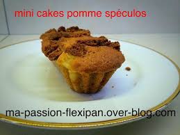 Recettes Sucrees Le Blog De Ma Passion Flexipan Cake Aux Pommes Speculoos Cake