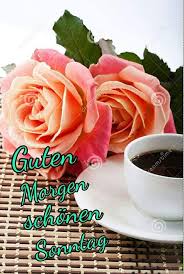Um ein bild auf whatsapp oder facebook zu teilen klickst oder tippst du einfach auf den button unter dem. Schonen Sonntag Morgen Gif Bilder Bilder Und Spruche Fur Whatsapp Und Facebook Kostenlos