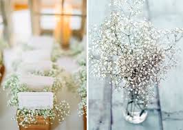 Check spelling or type a new query. Las 10 Flores Mas Usadas En Las Bodas