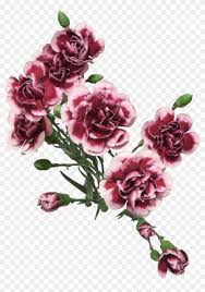 Product is provided in zip format and contains svg files only. Cut Flowers Of Carnation Png By Adagem Artsy Pngs Free Transparent Png Clipart Images Download