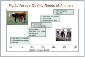 Comparison Of Relative Forage Quality Rfq To Relative Feed