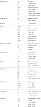 Maybe you would like to learn more about one of these? Frontiers A Multi Pathway Hypothesis For Human Visual Fear Signaling Frontiers In Systems Neuroscience