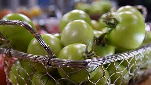 Image result for Grona setigera