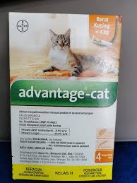 Luqas Pet Store Home Facebook