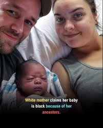 Another view from the forest