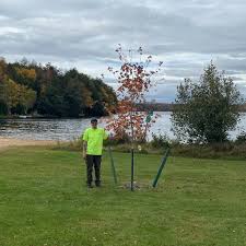 Happy Arbor Day! 🌲 The Village...