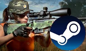 Charts Steam Pubg Starts In 2019 On The Hats Of Wheels