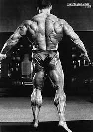 Use these seven best back exercises to optimize your back day training efforts. Cure For Cowardly Calves T Nation Dorian Yates Bodybuilding Motivation Schwarzenegger Bodybuilding
