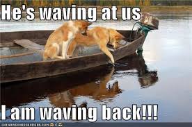 I Has A Hotdog Waving Funny Dog Pictures Dog Memes Puppy Pictures Pictures Of Dogs Dog Pictures Funny Pictures Of Dogs Dog Memes Puppy Pictures Doge Cheezburger Dogs are pets that express their emotions very clearly. dog memes puppy pictures
