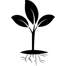 Plant black and white clip art. Leaf Tree Botany Plant Black And White Clip Art Plant Stem Flower Branch Illustration Silhouette 192935 Free Icon Library