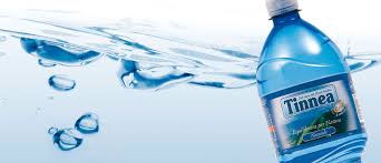 Image result for Tinnea