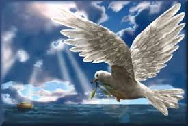 Building Arks My Father S House Picasso Dove Of Peace Dove With Olive Branch