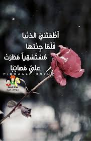 Pin By صور معبرة On صور Movie Posters Poster Movies