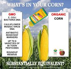 GMO/Toxin Free USA