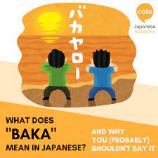 This word baka has a long history, an uncertain etymology (possibly from sanskrit or classical chinese), and linguistic complexities. What Does Baka Mean In Japanese And Why You Probably Shouldn T Use It Coto Japanese Academy