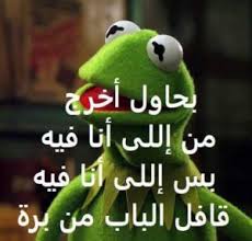 صور الضفدع كيرميت Funny Arabic Quotes Funny Qoutes Arabic Funny
