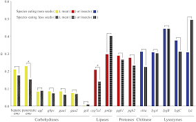 Evolution Of Digestive Enzymes And Dietary Diversification