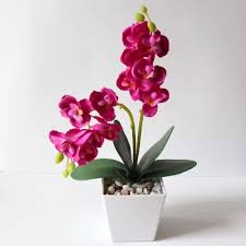 Gambar no1 tumpukkan 3 lembar. Jual Bunga Anggrek Artificial Import Bunga Hiasan Rumah Anggrek Imitasi Terbaru Juli 2021 Blibli