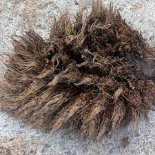 Efbopt is solid waste residue generated from palm oil factories. Empty Fruit Bunch Oil Palm India Ltd