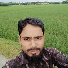 Paula!, Oh Paula!, Paula!#rooster #chickens #chickensofinstagram #comedy  #geese #goose #geeseofinstagram #dadjokes #funnyanimals #featheryfinetime  #motherclucker #farmjokester #nameyellingchicken Audio: @borariechorar