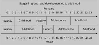 infants and children understanding sizing body shapes and