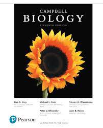 Biologi campbell jilid 1 pdf. Hot Topic Campbell Edisi 5 Jilid 1 Pdf