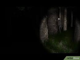 While playing the game, press ~ to display the console window. How To Beat Slender The Eight Pages 11 Steps With Pictures