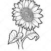 Free printable sunflower coloring pages for kids that you can print out and color. 1
