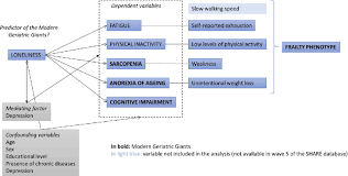 Image result for Geriatric Links