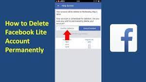 Go to facebook and log in to your account. How Can I Delete My Facebook Account Permanently From Fb Lite Solved