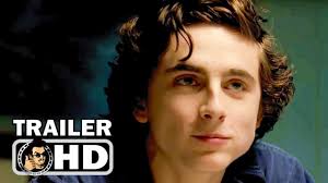 Beautiful boy is a movie starring steve carell, timothée chalamet, and maura tierney. Beautiful Boy Trailer 2 2018 Timothee Chalamet Steve Carell Movie Youtube