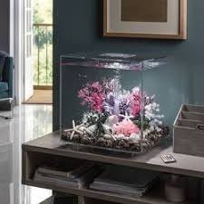 Mcr Led Quadratischer Aquariumbehalter Aquariumbehalter Led Mcr Quadratischer Akvaryum