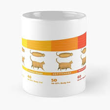 Amazon Com Chonk Chonker Healthy Boi Best Gift Mugs Cat