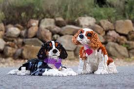 We did not find results for: Lego Cavalier King Charles Spaniels Aaron Brick Designer
