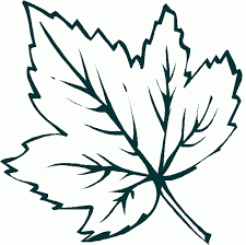 Dibujo De Una Hoja De Otono Para Imprimir Y Colorear Hojas De Otono Hojas Para Colorear Dibujos Hojas