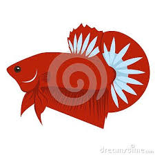 Betta Fish Hellboy Vector Art Design Illustration Logo In 2020 Betta Fish Fish Logo Vector Art Design