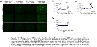 Leronlimab belongs to a group of hiv drugs called ccr5 antagonists. Cytodyn S Leronlimab In Covid 19 Debunking The Short Thesis Otcmkts Cydy Seeking Alpha