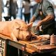 Whole Hog Butchering Class event image