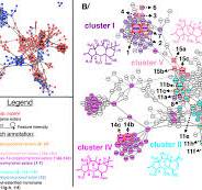 Euphorbia diterpene esters molecular networks from extracts ...