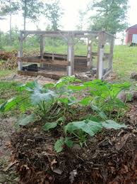 First, some definitions so things are crystal clear: 10 Considerations For Your Backyard Duck Coop Insteading
