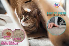 Man's best friend is not best friends with your carpet!! Training Bed Mat Cat Activity Play Mat Snugglycat The Ripple Rug Thermal Base Fun Interactive Play Scratching Bed Mats Pet Supplies Urbytus Com