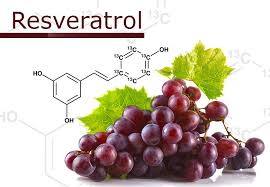 What Is Resveratrol How Can It Benefit Your Health Dr