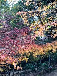 A Visit To Wildwood Garden Bilpin Blue Mountains Sydney In 2020 Family Friendly Travel Family Travel Parks In Sydney