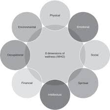 Approach To Wellness Part I The Handbook Of Wellness Medicine