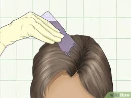 Natural hair dyes have far fewer chemicals. How To Use Powder Hair Dye 14 Steps With Pictures Wikihow