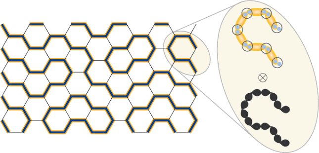Quantum loop states in spin-orbital models on the honeycomb lattice | Nature Communications