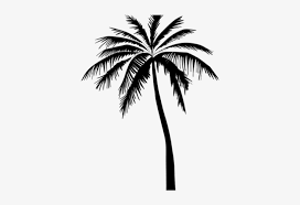 Browse our coconut tree images, graphics, and designs from +79.322 free vectors graphics. Palm Tree Silhouette Coconut Tree Free Vector Png Image Transparent Png Free Download On Seekpng