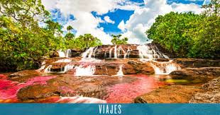 Existen varias formas de llegar a caño cristales colombia, una de ellas es desde la ciudad de villavicencio, saliendo del aeropuerto vanguardia en aviones de tres. Asi Es Cano Cristales El Rio Mas Bello Del Mundo America